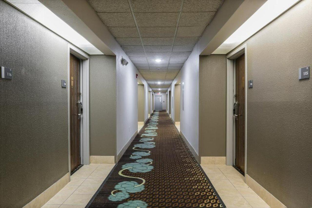 Bliss Point Inn & Suites New Buffalo Exterior foto